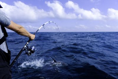 Carretos de Pesca Embarcada e Fundo (Bobina Fixa)