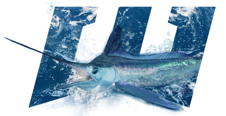 Williamson – Excelência em Pesca Offshore, Big Game e Jigging