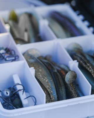 Caixas de Organização - Barracuda Pesca 