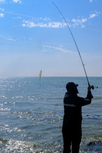 Canas de Spinning - Barracuda Pesca 
