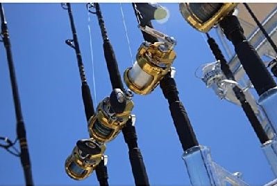 Corrico / Trolling - Barracuda Pesca 