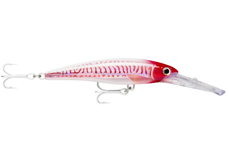 Minnow Rapala X-Rap Magnum