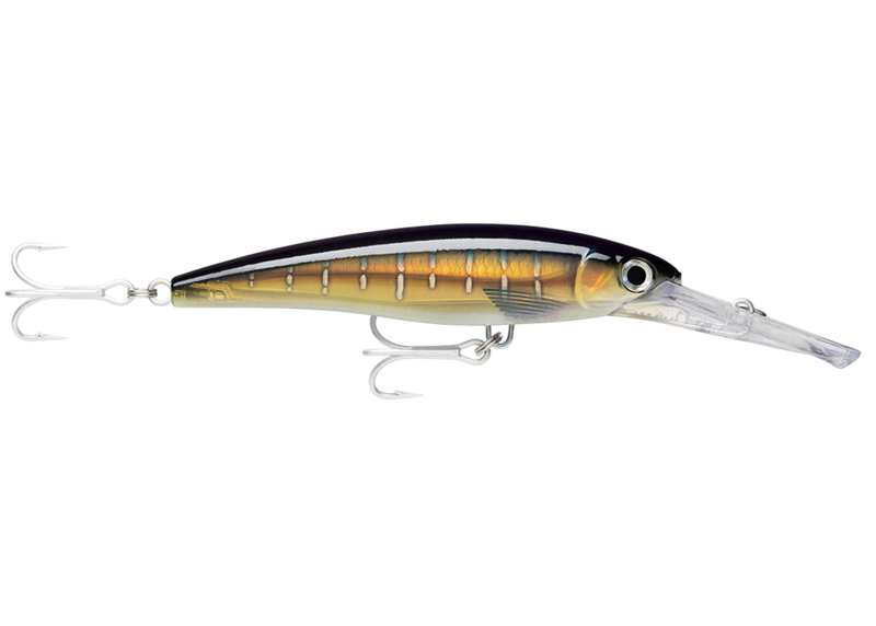 Minnow Rapala X-Rap Magnum