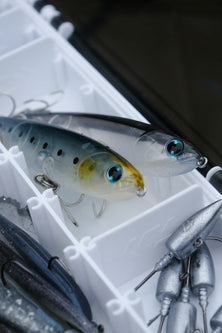 Amostras ou Iscos Artificiais - Barracuda Pesca 
