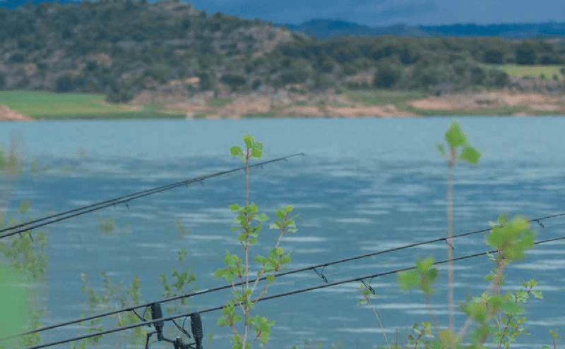 Cana Pesca Virux de Carpfishing O 3.60m (12') - 100% Carbono Passadores SIC - Barracuda Pesca
