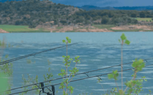 Cana Pesca Virux de Carpfishing O 3.60m (12') - 100% Carbono Passadores SIC - Barracuda Pesca