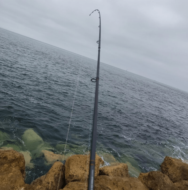 Cana Spinning Vega Antrax SP700 - Costeiro Ultra Alto Modulo - Barracuda Pesca