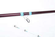 Cana Surfcasting Vercelli Enygma Mamuth 450 4.42m 100-250g - Barracuda Pesca