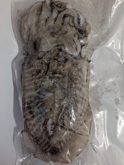 Choco Fresco Congelado de Seleção (Isco de Pesca) - Barracuda Pesca