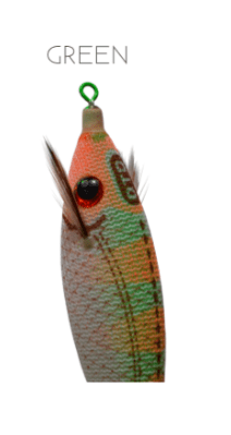 DTD Arbun - Toneira Eging - Barracuda Pesca