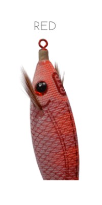 DTD Arbun - Toneira Eging - Barracuda Pesca