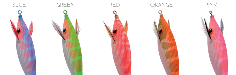 DTD Pirka - Toneira Eging - Barracuda Pesca