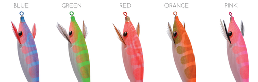 DTD Pirka - Toneira Eging - Barracuda Pesca