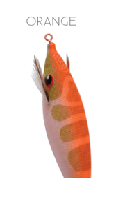 DTD Pirka - Toneira Eging - Barracuda Pesca