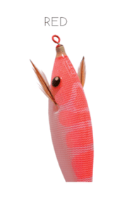 DTD Pirka - Toneira Eging - Barracuda Pesca