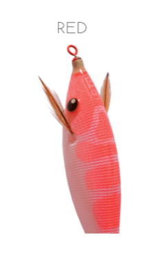 DTD Pirka - Toneira Eging - Barracuda Pesca
