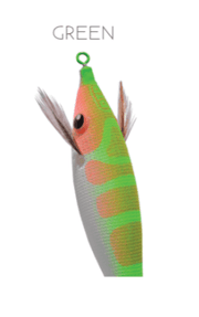 DTD Pirka - Toneira Eging - Barracuda Pesca