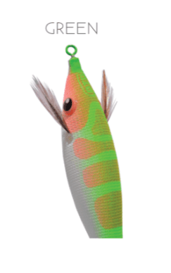 DTD Pirka - Toneira Eging - Barracuda Pesca