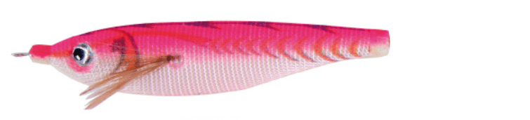 Egi Yamashita Toto Sutte - Toneira Eging - Barracuda Pesca
