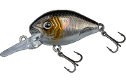 Amostra Fishus by Lurenzo Assault Crank 40 mm - Shine Shad