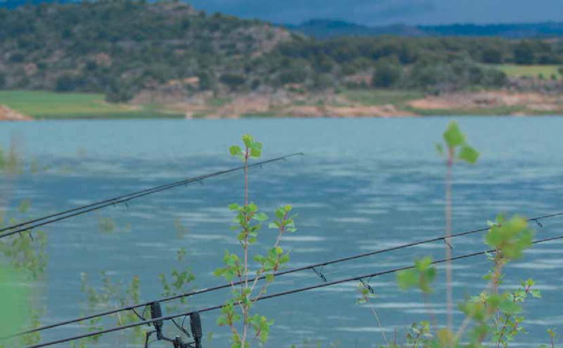 Cana carpfishing Virux O 3.60m carbono passadores ALPS ação parabólica vista completa