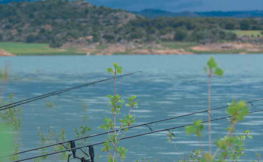Cana carpfishing Virux O 3.60m carbono passadores ALPS ação parabólica vista completa