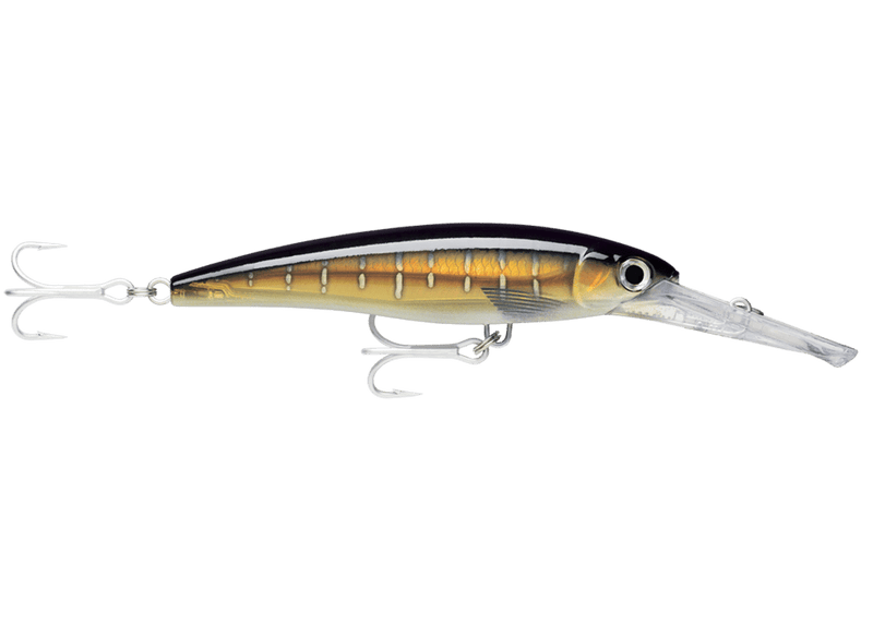 Minnow Rapala X-Rap Magnum - Barracuda Pesca