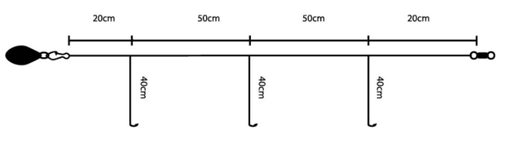 Carreto Spinning Shimano Twin Power XD FB C5000 XG | Barracuda Pesca