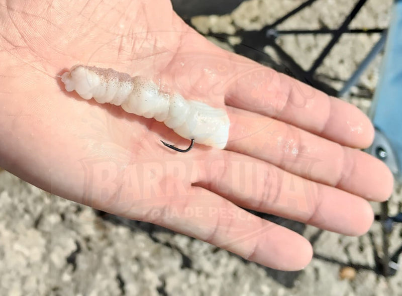 Polvo Selvagem Congelado Selecionado Pequeno (Isco Natural para Surfcasting e Rocha) - Barracuda Pesca
