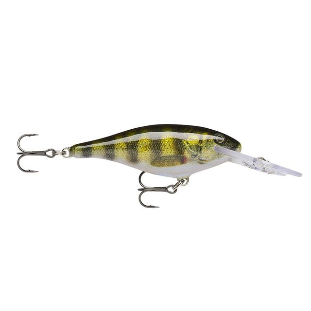 Rapala Shad Rap Live Perch com padrão de perca, barras escuras, duas fateixas e pala longa transparente