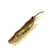 Vinil Magbite Snatchbite Shrimp 4" / 10cm (MBW06) - Barracuda Pesca